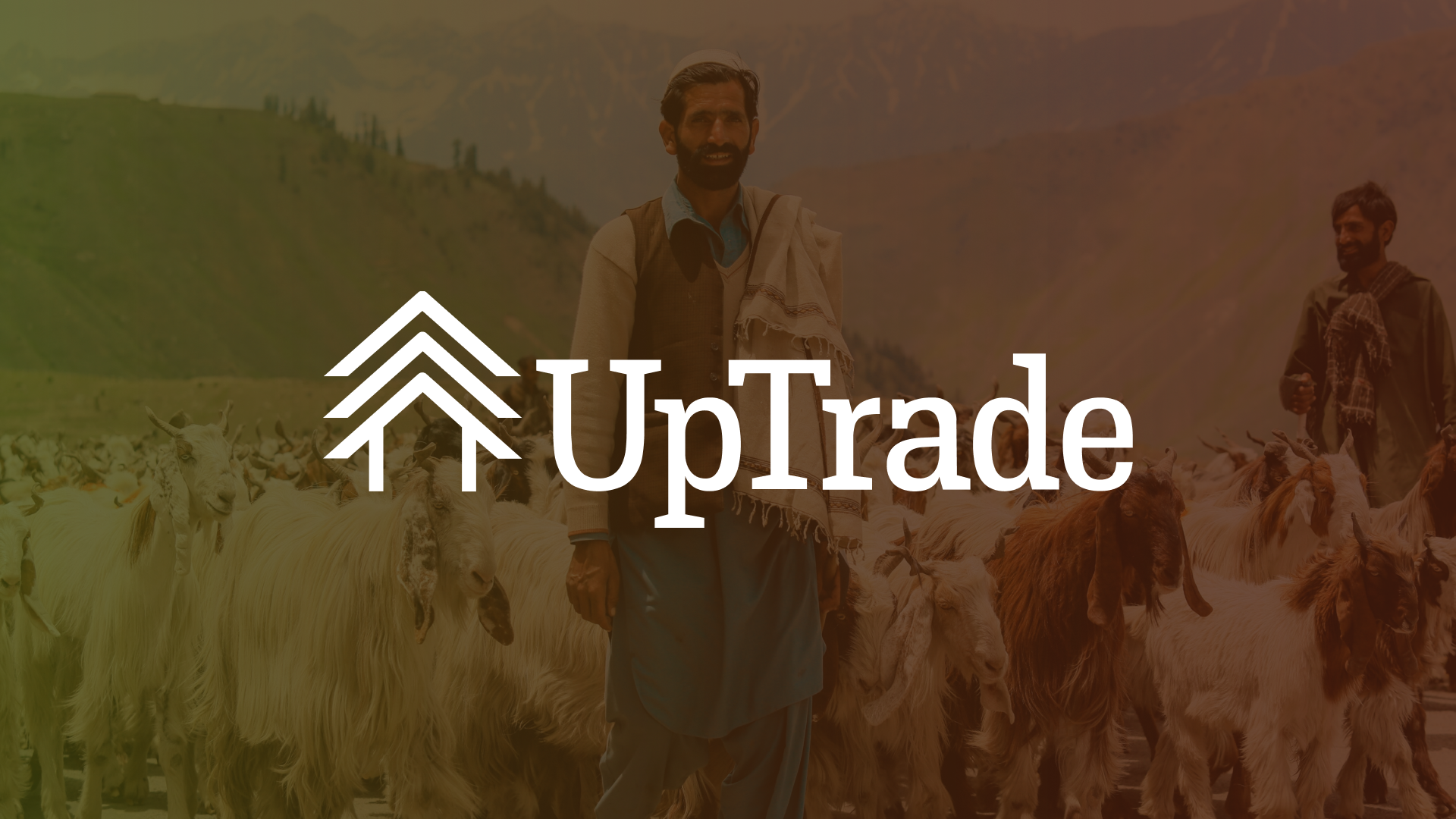 UpTrade